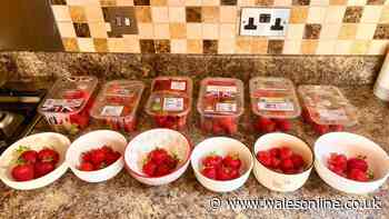 I tried strawberries from Lidl and 5 more shops – only 1 was juicy, sweet and vibrant