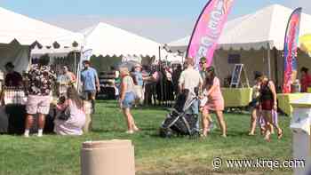 20th annual Lavender in the Village festival draws large crowd to Balloon Fiesta Park
