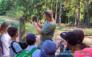 Neustadt / Silz – Wild- und Wanderpark feiert Sommerfest am 2. August beim Jubiläum 20 Jahre Förderverein Wildpark Silz e.V.