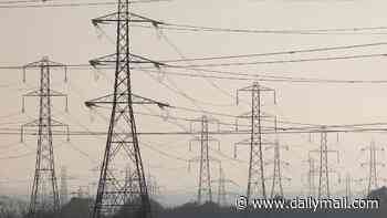 Blackout fears after insiders claim national power grid is 'out of control' and on brink of collapse