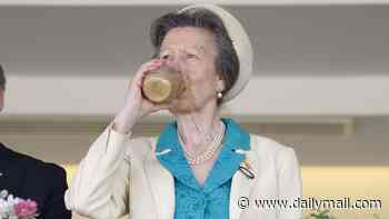 Thirsty work! Princess Anne eschews the fancy options as she sips from a tumbler while watching the racing at Ascot