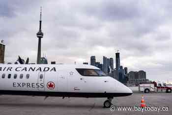 Advocates hail feds’ rejection of island airport plan, while trade groups pan it