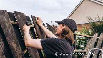 Lawyer settles debate on who owns left side of garden fence