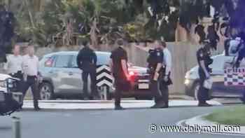 Woman is accidentally shot during tense stand-off between cops and an alleged knifeman in Mount Sheridan