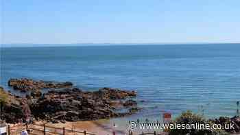 Underappreciated Welsh beach has golden sands and a cafe with a sea view