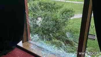Police make arrest after man smashes windows at high school, houses in Winnipeg