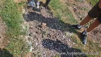 Grieving Hull father's anger at finding baby daughter's grave 'flattened' by council workers