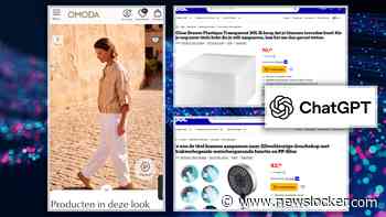Webwinkels als Bol.com vol met pijnlijke AI-blunders: ’Dit is gewoon gênant’