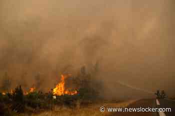LIVE | Bosbranden nabij Bordeaux laaien weer op: nog eens 55.000 evacuaties