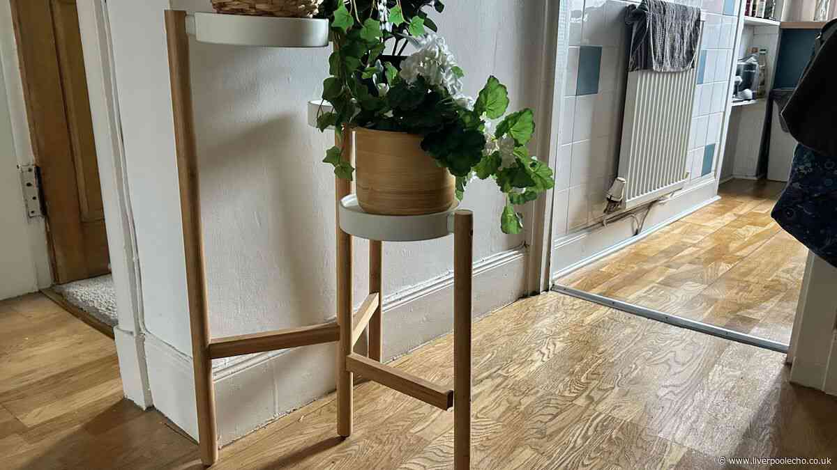 I cleaned my floors with £1.16 item that made my whole home smell incredible
