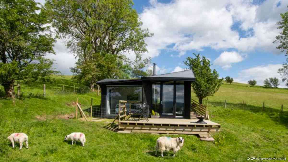 'Surrounded by sheep and mountains' Welsh cabin seen on Channel 4