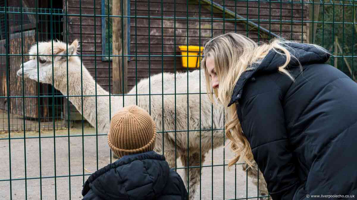 Park 45 minutes from Liverpool where the zoo won't cost you a penny