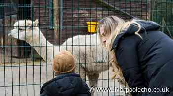 Park 45 minutes from Liverpool where the zoo won't cost you a penny