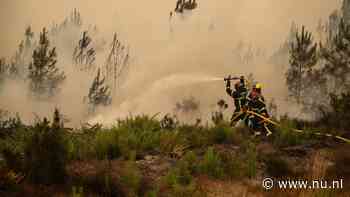 Live natuurbranden | Nog eens 55.000 evacuaties in buitenwijken Bordeaux