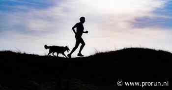 Hardlopen en harige agressie