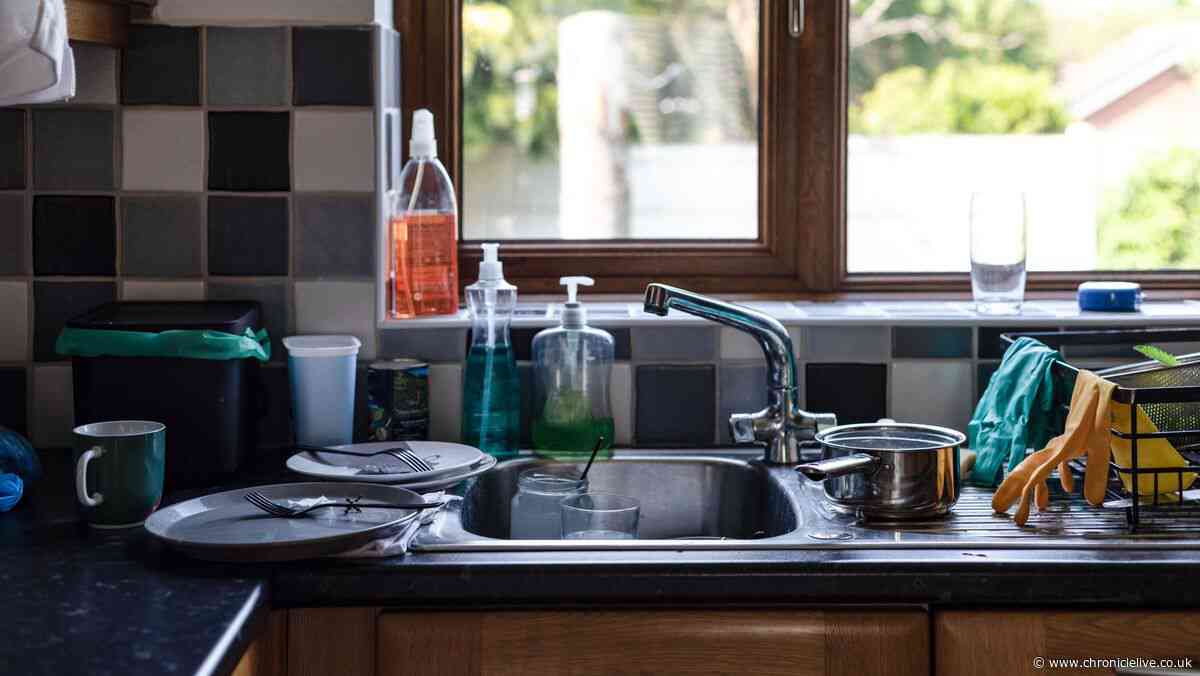 Kitchen will 'always smell fresh' with 20p item