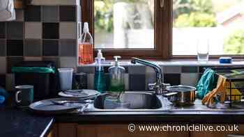 Kitchen will 'always smell fresh' with 20p item