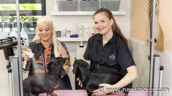 Champagne, pedicures en bruisballetjes: honden worden in deze beautysalon extreem in de watten gelegd
