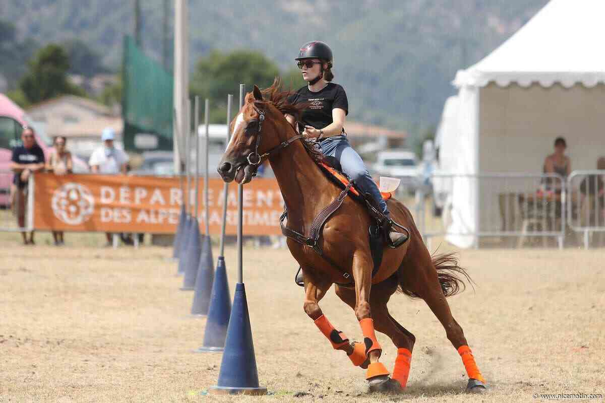 À Levens, le cheval en fête encore ce dimanche 26 juillet : on vous donne toutes les infos