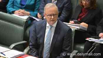 Anthony Albanese breaks ranks with party after Labor backs major change to voluntary assisted dying: 'That's my position'