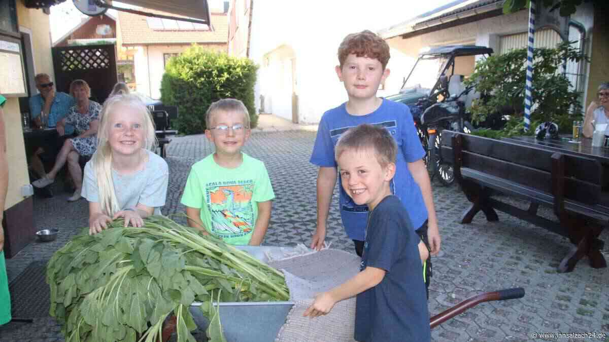 31. Radi-Cup in Hart bei Chieming: Der Sieger von Tobi Rohleder wog stolze 733 Gramm