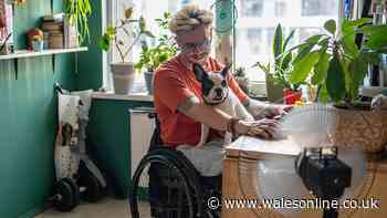 PIP 'should not' warning for Andy Burnham over how claimants are treated