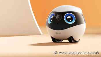 Review: Enabot EBO Mini keeps an eye out when you're not there