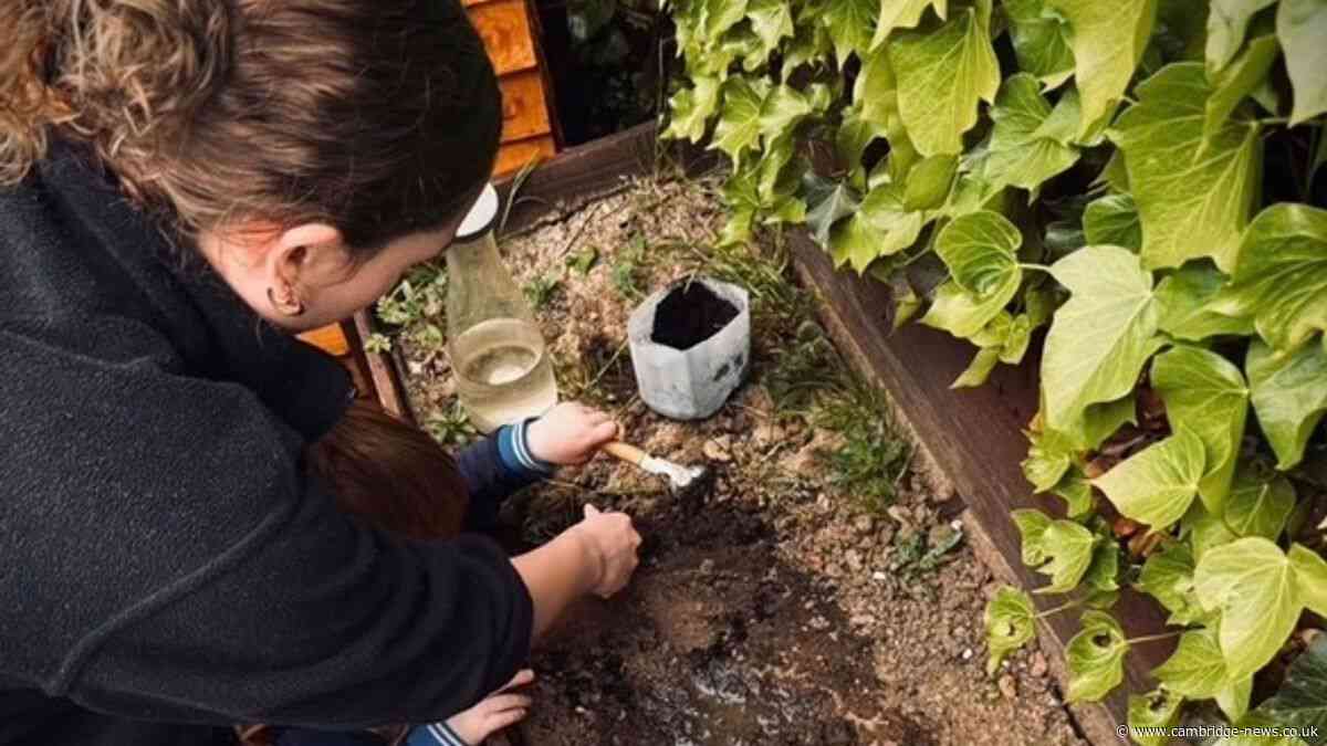 Nursery where children are 'happy and settled' told it 'needs attention' by Ofsted