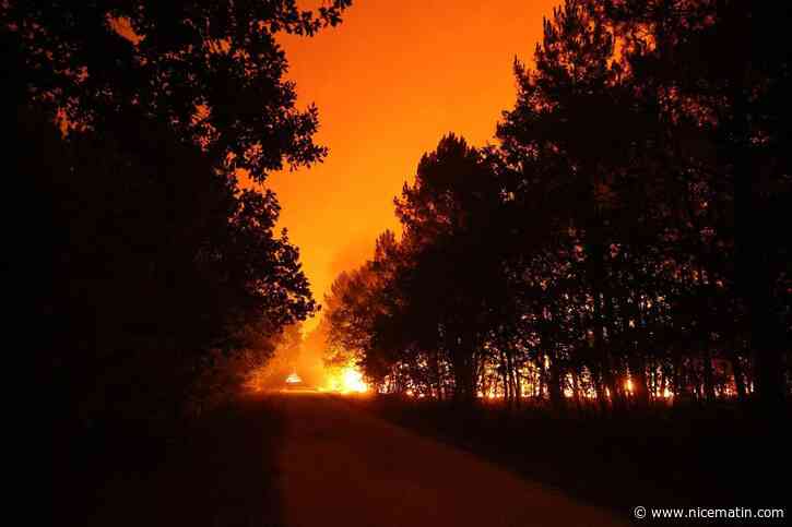 Incendie en Gironde : le feu a détruit 42 000 hectares autour du bassin d’Arcachon et 220 000 personnes évacuées