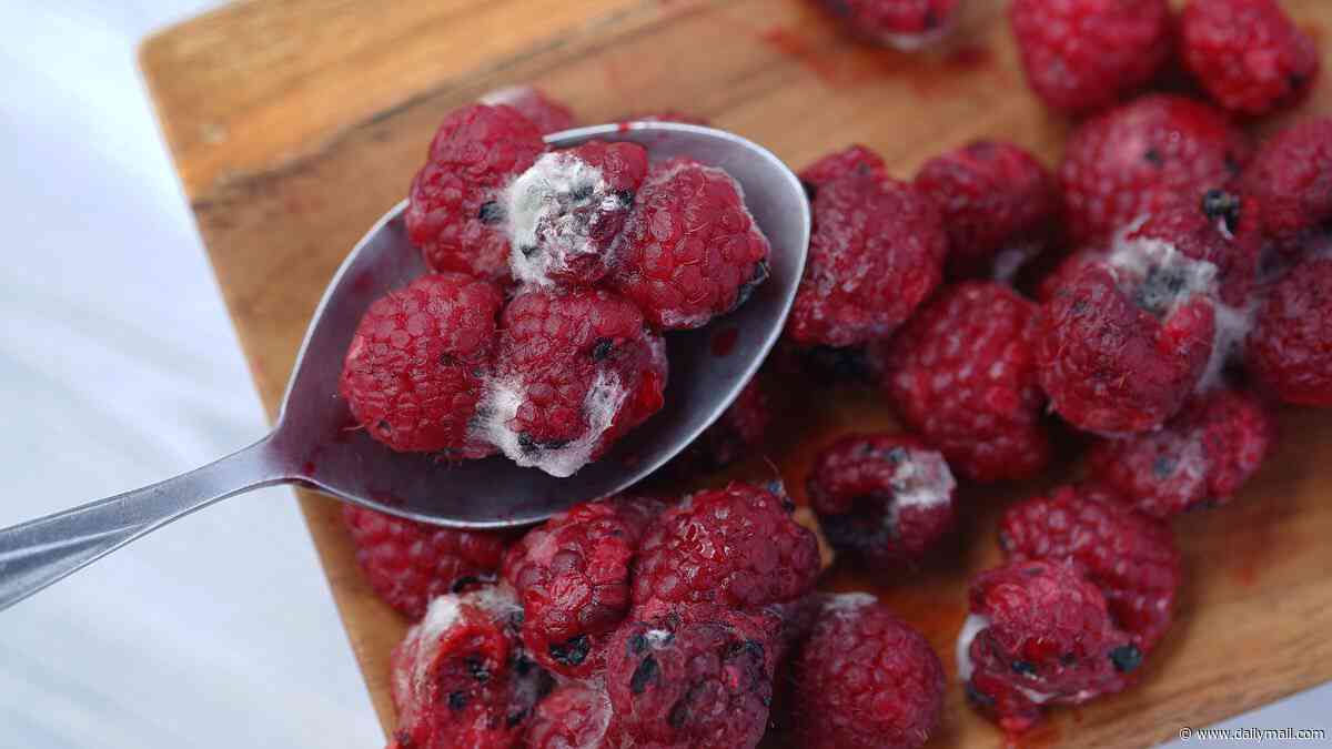 Sick of rotten raspberries and mouldy mushrooms? Microbiologist reveals how to make your fruit and veg last as long as six WEEKS
