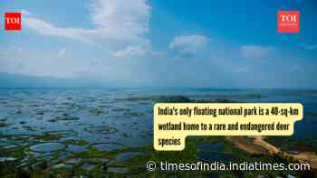 India's only floating national park is a 40-sq-km wetland home to a rare and endangered deer species