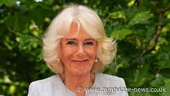 'I've met Queen Camilla multiple times – this one thing about her stood out'