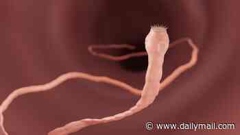 How to learn to love your tapeworm