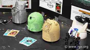 Meet the robots programmed by kids to speak their Indigenous languages