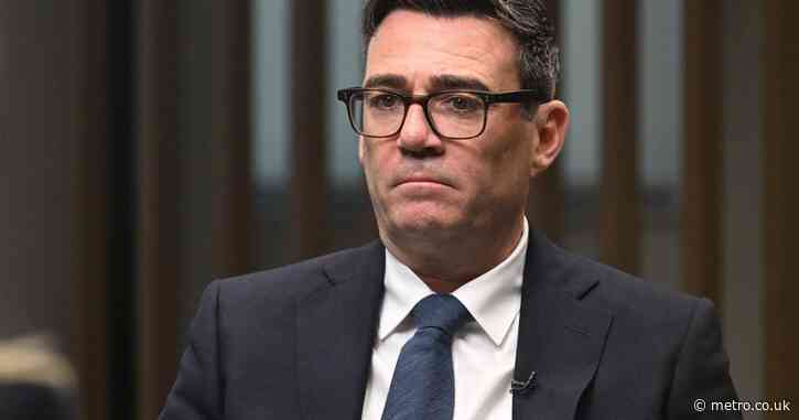 Andy Burnham vows no early general election before 2029