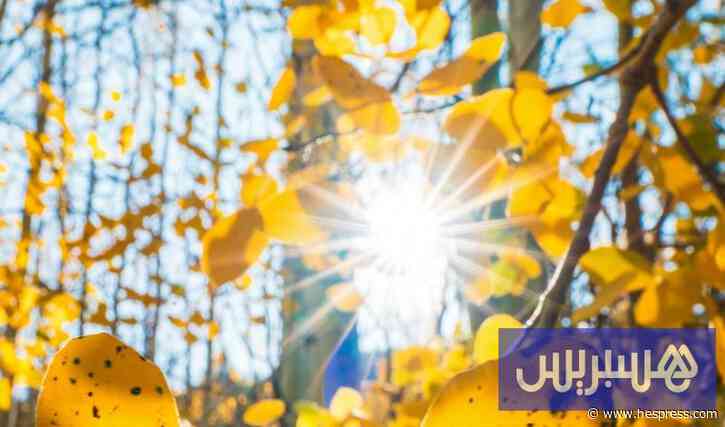 موجة حر مرتقبة تصل إلى 47 درجة