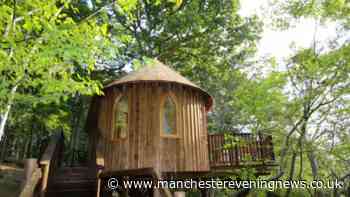 The 'magical' treehouse nestled in an area of Outstanding Natural Beauty