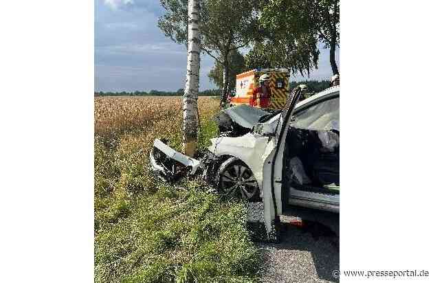 POL-STD: Zwei Verletzte bei Unfall in der Gemarkung Wedel, Einbrecher in Freiburg erbeuten einen Fernseher