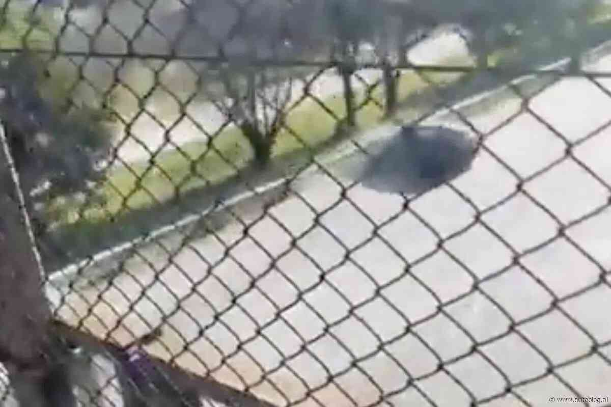 Achteruitrijden op een snelweg, wat kan er misgaan?