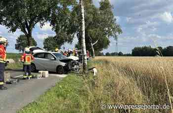 POL-STD: Zwei Verletzte bei Unfall in der Gemarkung Wedel - Fotos in größerer Auflösung