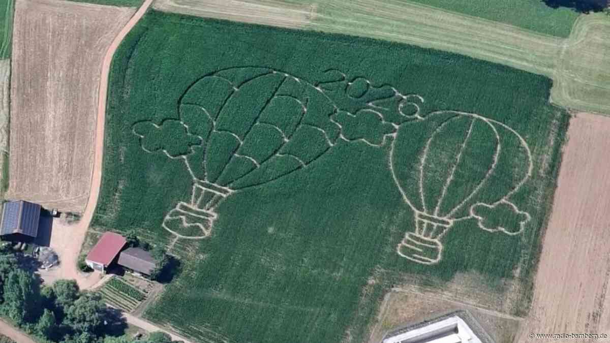 In Hollfeld eröffnet heute ein neues Maislabyrinth