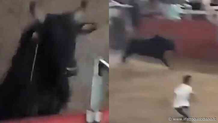 Toro riesce a raggiungere gli spalti e scatena il caos tra la folla: attimi di terrore alla Corrida di Castilla