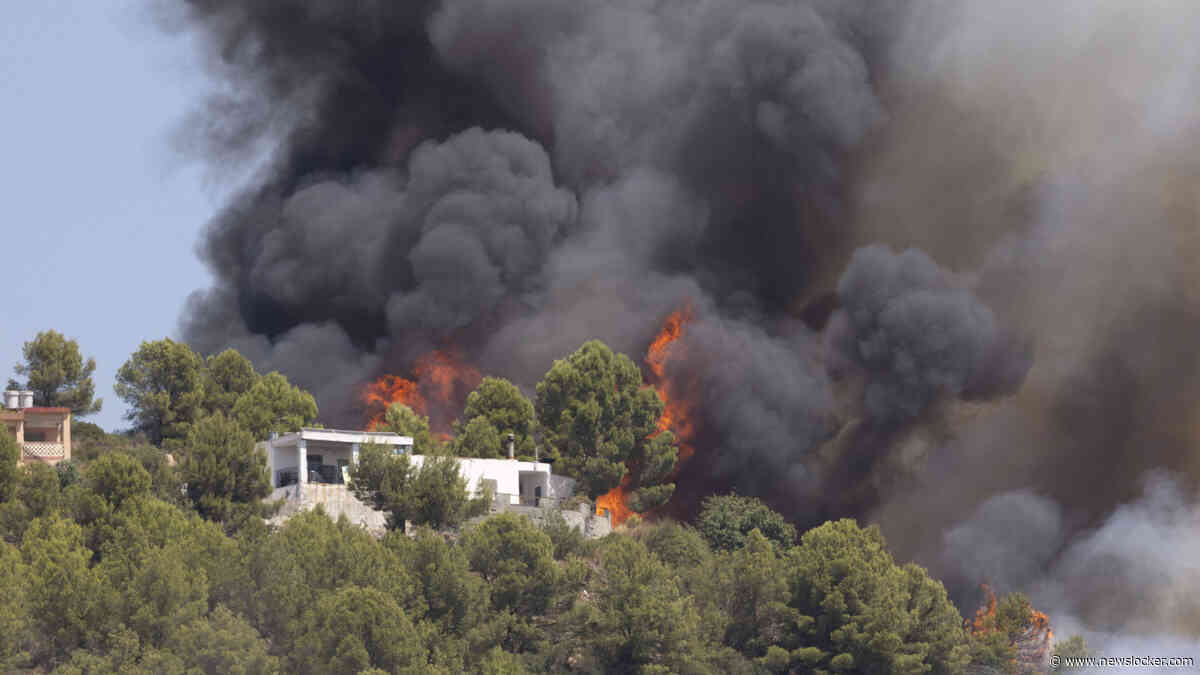 LIVE | Spanje krijgt nieuwe vuurzee nabij Valencia niet onder controle, verwoestende natuurbrand nadert Franse Bordeaux 