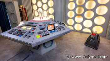 Who needs a shed! Superfan spends more than £30,000 building full-size Tardis in his garden