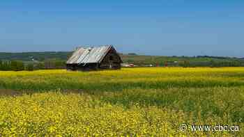 Part of northeast B.C. back to 'abnormally dry,' with long drought recovery expected