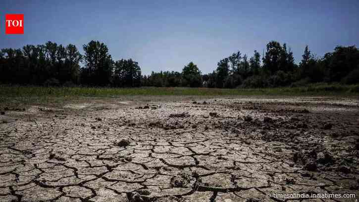 PM Modi pitches water conservation amid widespread monsoon deficit