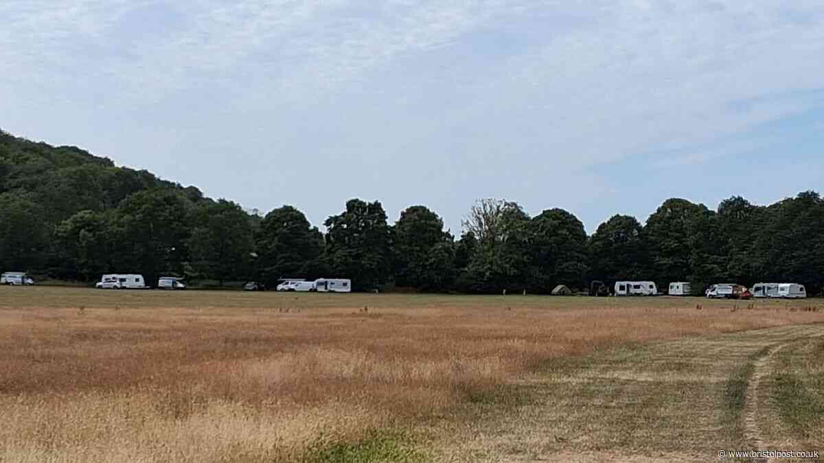 Police investigate reports of criminal damage and dangerous driving at Blaise Castle