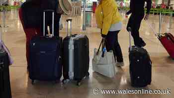Ryanair, easyJet and Wizz Air bag changes under new EU rules