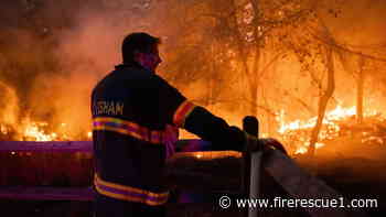 Experts urge N.J. officials to strengthen wildfire preparedness