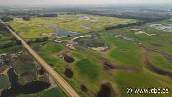 How Alberta municipalities use agricultural disaster declarations to advocate for farmers